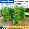 Greenhouses Vegetable Planting Irrigation Equipment