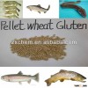 pellet wheat gluten used for Aquatic feed