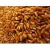 Quality Rice Bran