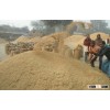 Deoiled Rice Bran