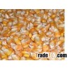 Feed Grade Yellow Corn