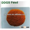 DDGS FEED
