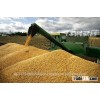 Chicken Meal Corn Gluten Animal Feed, Chicken Yellow Maize Animal Feed.