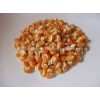 YELLOW MAIZE