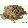 Good Market Price Cotton Seeds Cake For Sale