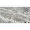 Feeding Whole Cottonseed