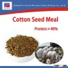 High Quality Cotton Seed Meal Price