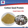 2015 New Cotton seed protein 50%