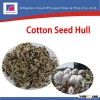 High quality Cotton Seed Hull