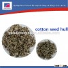 Animal Feed Cotton seed hull