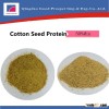 Cotton seed protein protein 50% Min for animals