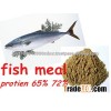 Fish feed