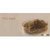 QUALITY FISH MEAL
