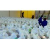 Dried High Protein 65% Fish Meal for Animal Feed..