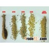 Poultry feed