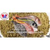 SEA FISH MEAL