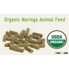 Moringa Fish Meal