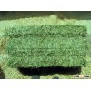 Quality Alfafa Hay for Animal Feeding Stuff Alfalfa / Alfalfa Hay / Alfalfa Hay F