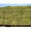 ANIMAL FEED,( YELLOW CORN , WHEAT, SOYBEANS, ALFALFA HAY, FISH MEAL, YEAST) FROM FOR SALE