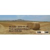 RICE STRAW HAY