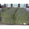 Alfalfa Hay Bales
