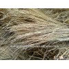 Rice Straw