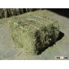 Animal Feed Alfalfa Hay
