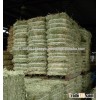 High Protein Sun Dried Alfalfa Hay in Hungary