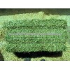 Quality Alfalfa Hay,Alfalfa Pellets,Soybean Meal,Wheat Bran,Wheat Straw,Timothy Hay