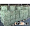 Quality Alfafa Hay for Animal Feeding Stuff Alfalfa / Alfalfa Hay / Alfalfa Hay for sale