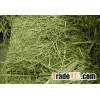 GRADE A PRIMIUM GREEN ALFALFA HAY
