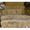 DRIED RICE STRAW