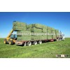 Premium Alfalfa Hay for sale