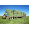 PREMIUM GREEN ALFALFA HAY