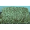 TIMOTHY HAY BALES / LUCERNE HAY /RHODES GRASS HAY