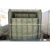 High Protein Sun Dried Alfalfa Hay in United State
