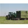 High quality Alfalfa Hay bales Alfalfa Hay Bales Bales alfalfa Alfafa Hay Bales / Grade A