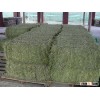 Low price Alfalfa Hay in Bales