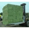 Alfalfa Hay, Timothy Hay, Animal feedAdd to My Favorites Alfalfa Hay, Timothy Hay, Animal feed