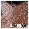 Cattle Feed Supplements