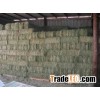 ANIMAL FEED ALFALFA HAY FISH MEAL CHICKEN FEED BONE MEAL YELLOW CORN ANIMAL FEED FROM