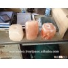 Animal Salt Licks