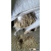 Cows bone for feed meal with best quality