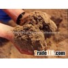 bone meal for sale 2015