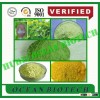 China corn gluten meal powder manufacturer