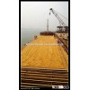 corn gluten feed bulk