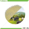 China supplier feed additive soy bean meal manufacturer