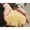 SOYBEAN MEAL / SOYBEAN MEAL FOR ANIMAL FEED, 43-46% PROTEIN