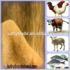 soybean meal brazil