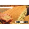 SOYBEAN MEAL FOR ANIMAL FEED 46% PROTEIN